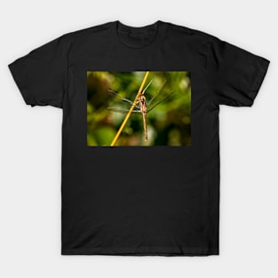 Dragonfly Portrait T-Shirt